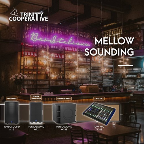 mellow-sounding-pa-sound-system-for-bar-pub-club-bistro-turbosound-m15-m18b-m12-topp-pro-t2208